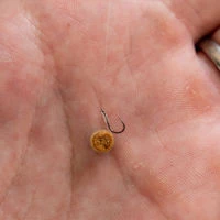 Matrix X5 F1 Pellet Rigger Barbless Eyed Hooks